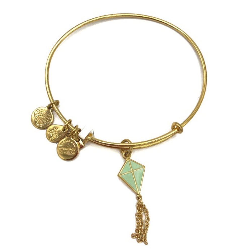 Alex & Ani Inspiration In Flight Charm Bangle Bracelet Rafaelian Gold Tone NWOT